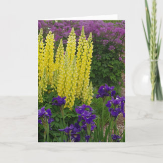 Generell födelsedag kort