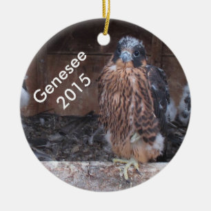 Genesee prydnad 2015 julgransprydnad keramik