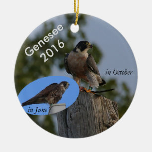Genesee prydnad 2016 - i vuxen plumage. julgransprydnad keramik