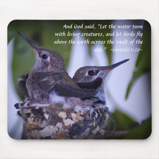 Genesis 1:20 Juvenile Hummingbird Mousepad Musmatta (Framsidan)