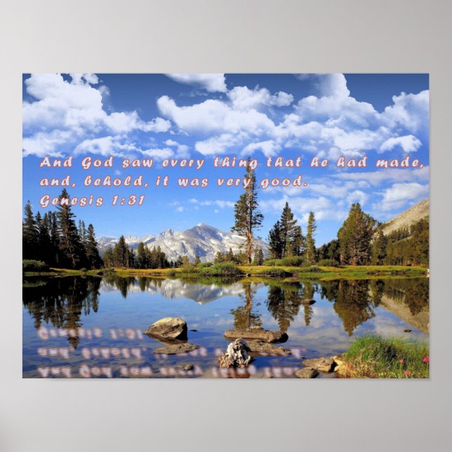 Genesis 1:31 poster (Framsidan)
