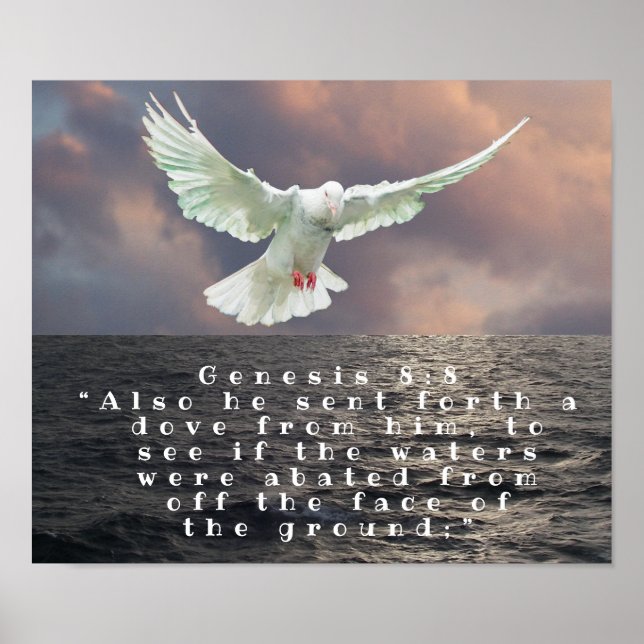 GENESIS 8:8 POSTER (Framsidan)