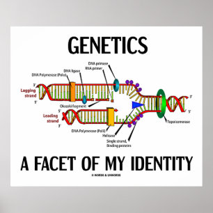 Genetik en faktor för min identitet (DNA-replikeri Poster