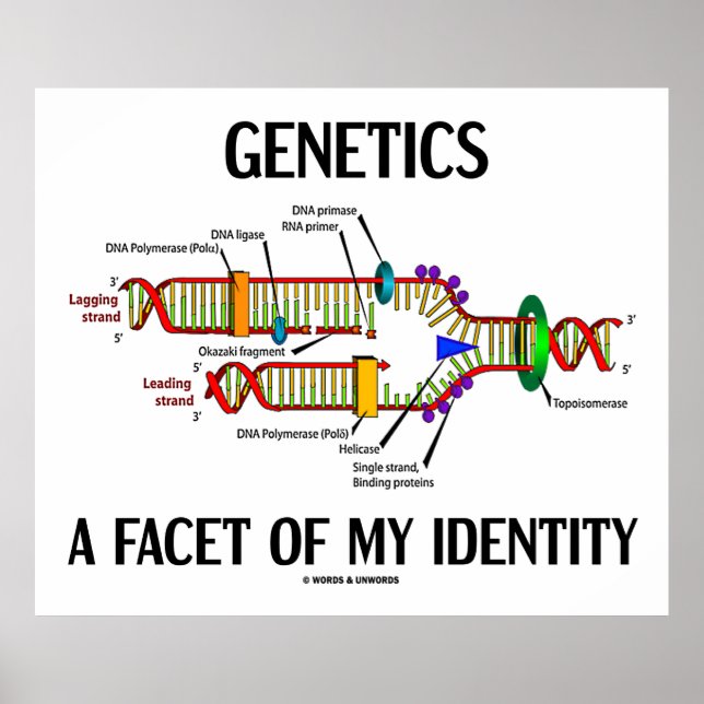 Genetik en faktor för min identitet (DNA-replikeri Poster (Framsidan)