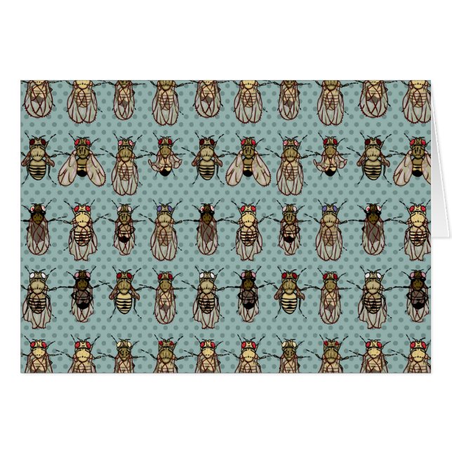 Genetik för Drosophilafruktfluga Hälsningskort (Framsidan Horizontal)