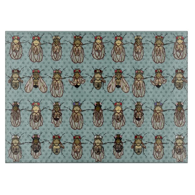 Genetik för Drosophilafruktfluga - mutants (Framsidan)