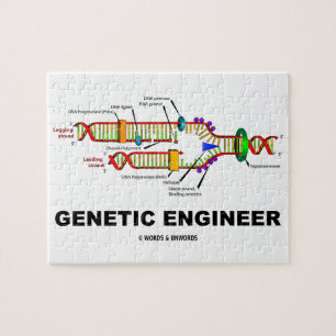 Genetisk ingenjörDNA-Replication Pussel