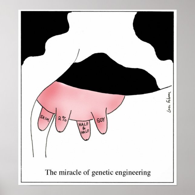 Genetisk ingenjörskonst Genetic Engineering Cow GM Poster (Framsidan)