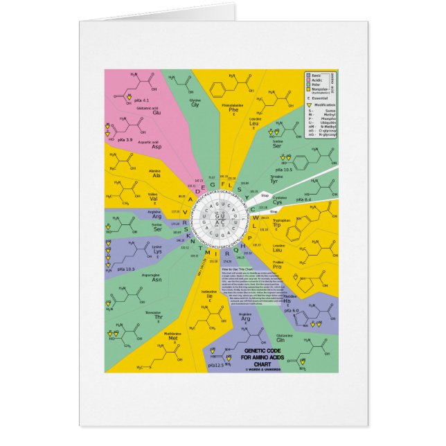 Genetisk kod för Amino syror (kartlägga rullar), Hälsningskort (Framsidan)