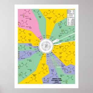 Genetisk kod för aminosyror (diagramhjul) poster