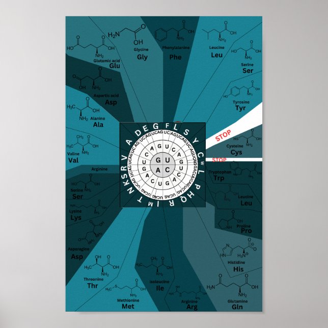 Genetiskt kodondiagram, blått aminosyror poster (Framsidan)