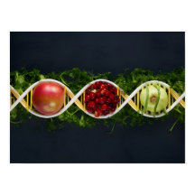 Genetiskt modifierat Skörd och genetiskt modifiera