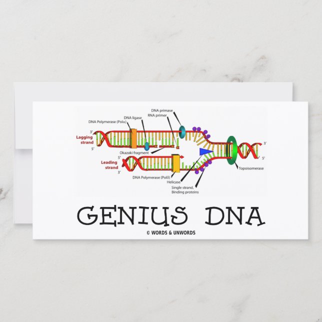 Geni-DNA (DNA Replication Humor) (Framsida)