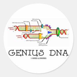 Geni-DNA (DNA Replication Humor) Runt Klistermärke