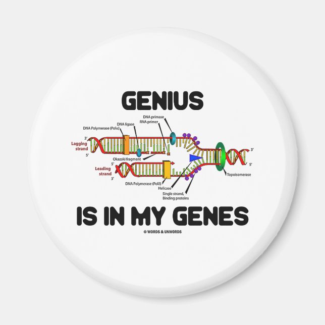 Genius finns i mina gener (DNA-replikering) Magnet (Framsidan)