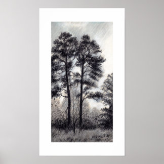 GENOM CR SINCLAIR-SKYDD POSTER