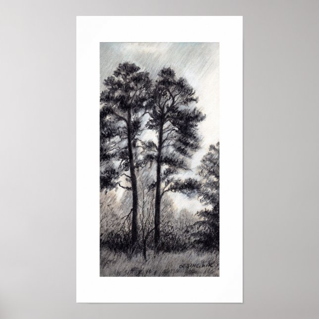 GENOM CR SINCLAIR-SKYDD POSTER (Framsidan)