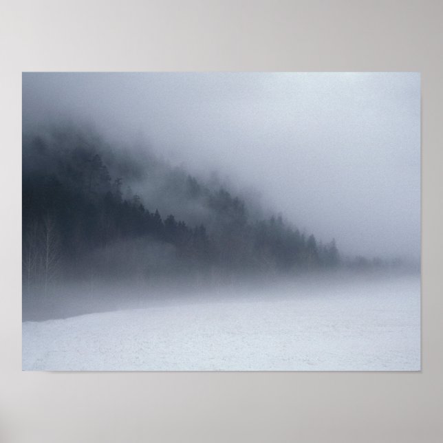 Genom dimman poster (Framsidan)