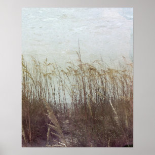 Genom Dunes II Poster