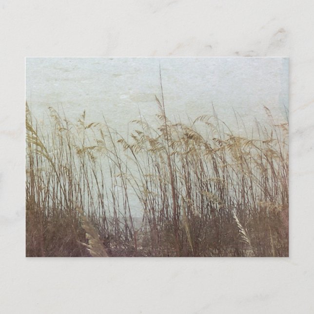 Genom Dunes II Vykort (Framsida)