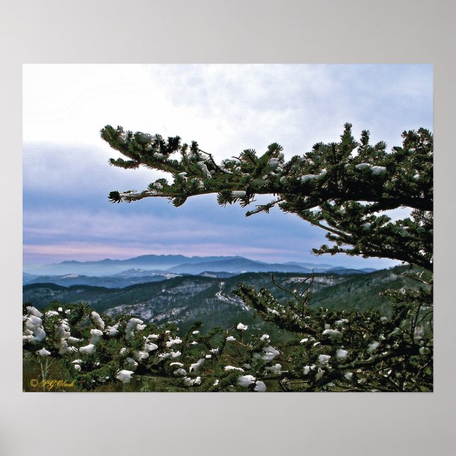 Genom ett Gräs Poster (Framsidan)