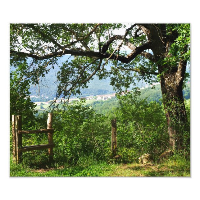 Genom Foliage Fototryck (Framsidan)