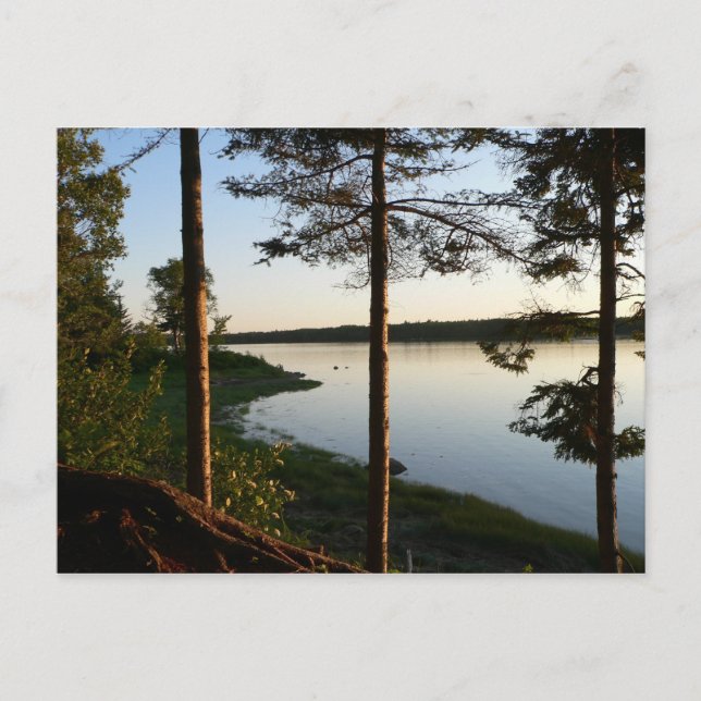 Genom Gräs-vykortet Vykort (Framsida)