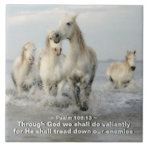 Genom Gud ska vi göra Valiant Psalm 108:13