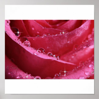 genom ljusets fönster poster