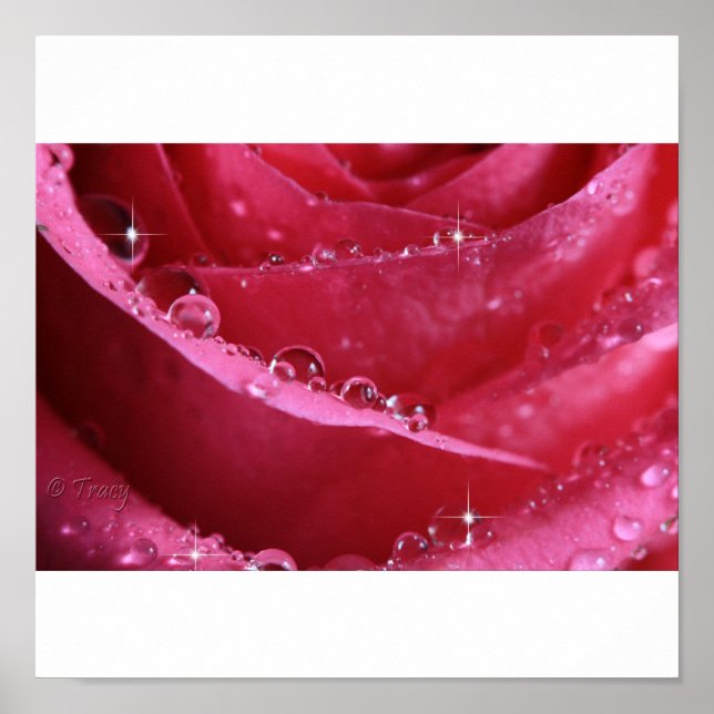 genom ljusets fönster poster (Framsidan)