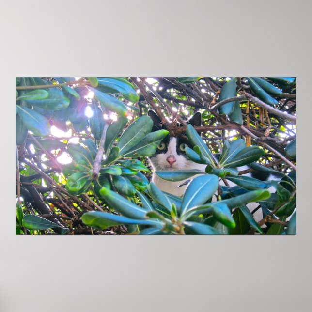 Genom Löven Poster (Framsidan)