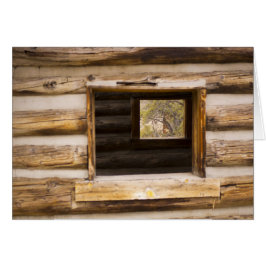 Genom och genom skåpet hälsningskort