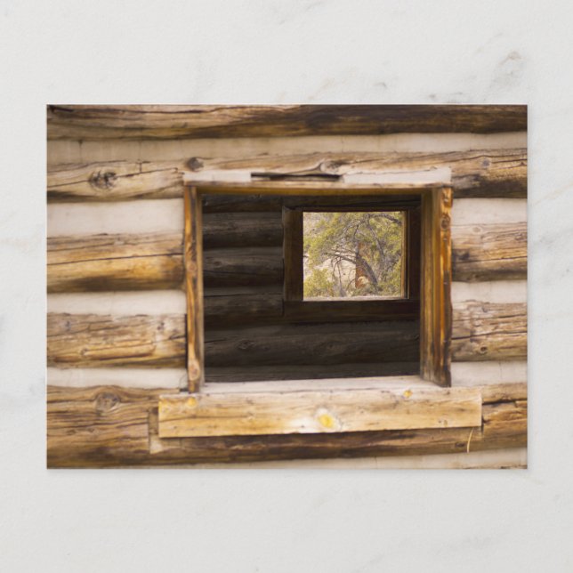 Genom och genom skåpet vykort (Framsida)