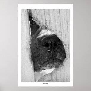 Genom stängslet poster