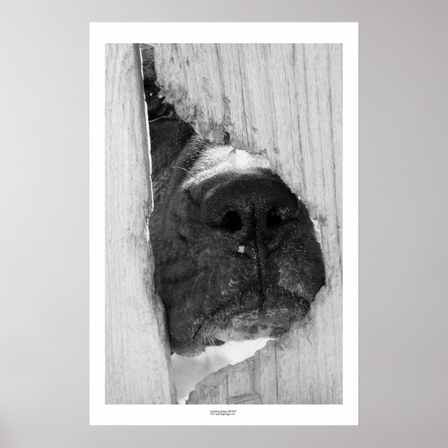 Genom stängslet poster (Framsidan)