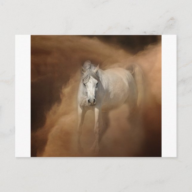 Genom stoftstormen vykort (Framsida)