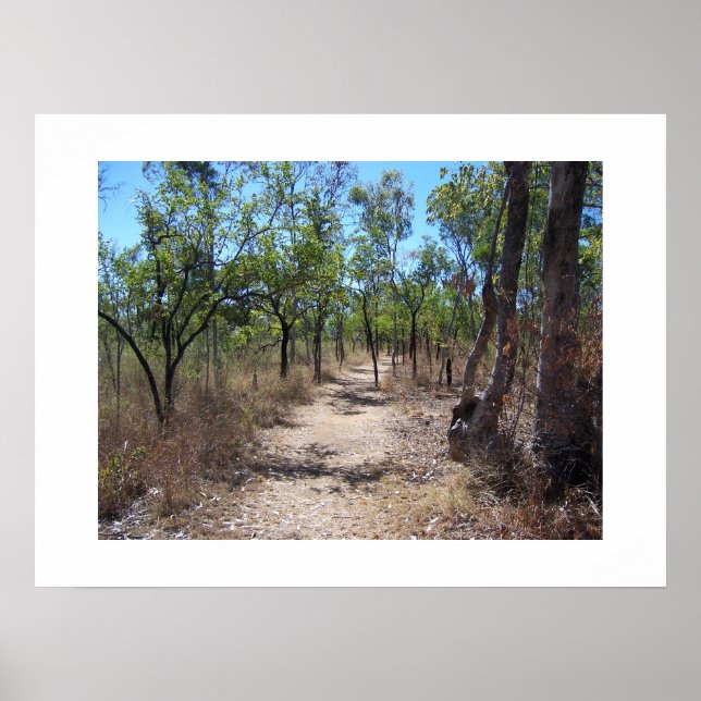 Genom träd Australien Färg fotografering Poster (Framsidan)