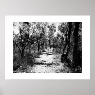 Genom Träd Black and White Photography Poster