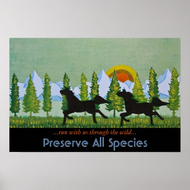 Genom Vilden Poster (Framsidan)