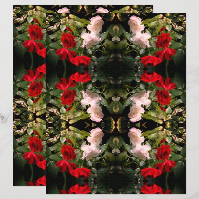 Genomblöta röda och vita rosor Scrapbookpapper (Fram/baksida)