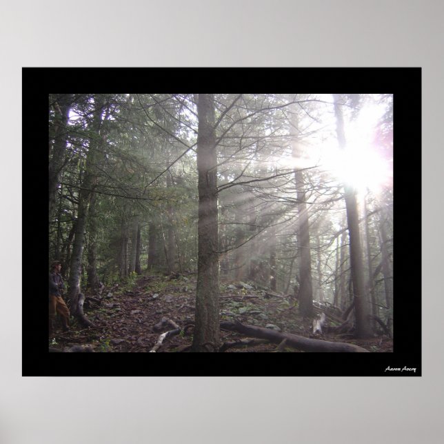 Genomför Poster (Framsidan)