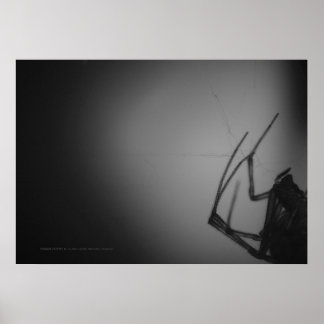 GENOMFÖRANDE 8 POSTER