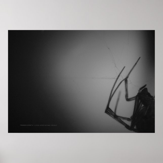 GENOMFÖRANDE 8 POSTER (Framsidan)