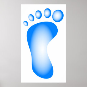 Genomskinlig blåttfot poster