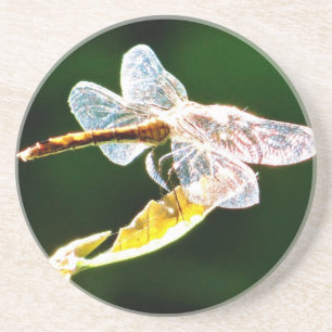 Genomskinlig dragonfly underlägg