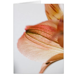 Genomskinlig Hälsningskort