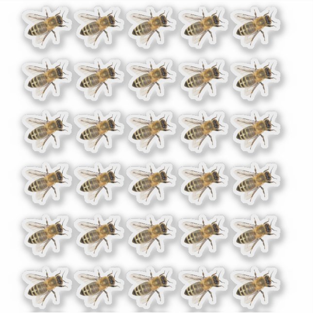 Genomskinlig kraglhonungsbees Realistic Sticker Klistermärken (Framsida)