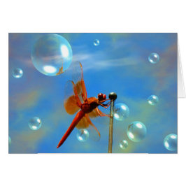 Genomskinlig röd slända hälsningskort