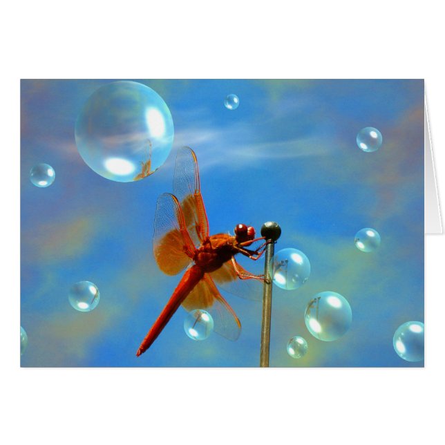 Genomskinlig röd slända hälsningskort (Framsidan Horizontal)