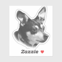 Genomskinlig ruby-etikett!!